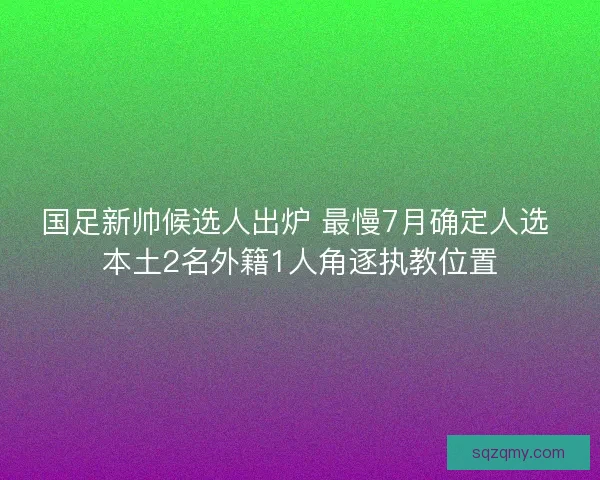 国足新帅候选人出炉 最慢7月确定人选 本土2名外籍1人角逐执教位置